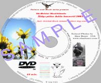 1_DVD_mothers_day_flower