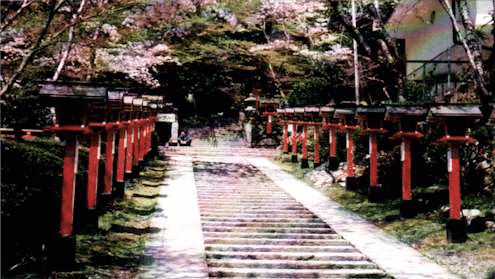 The Steps Going Up Mount Kurama